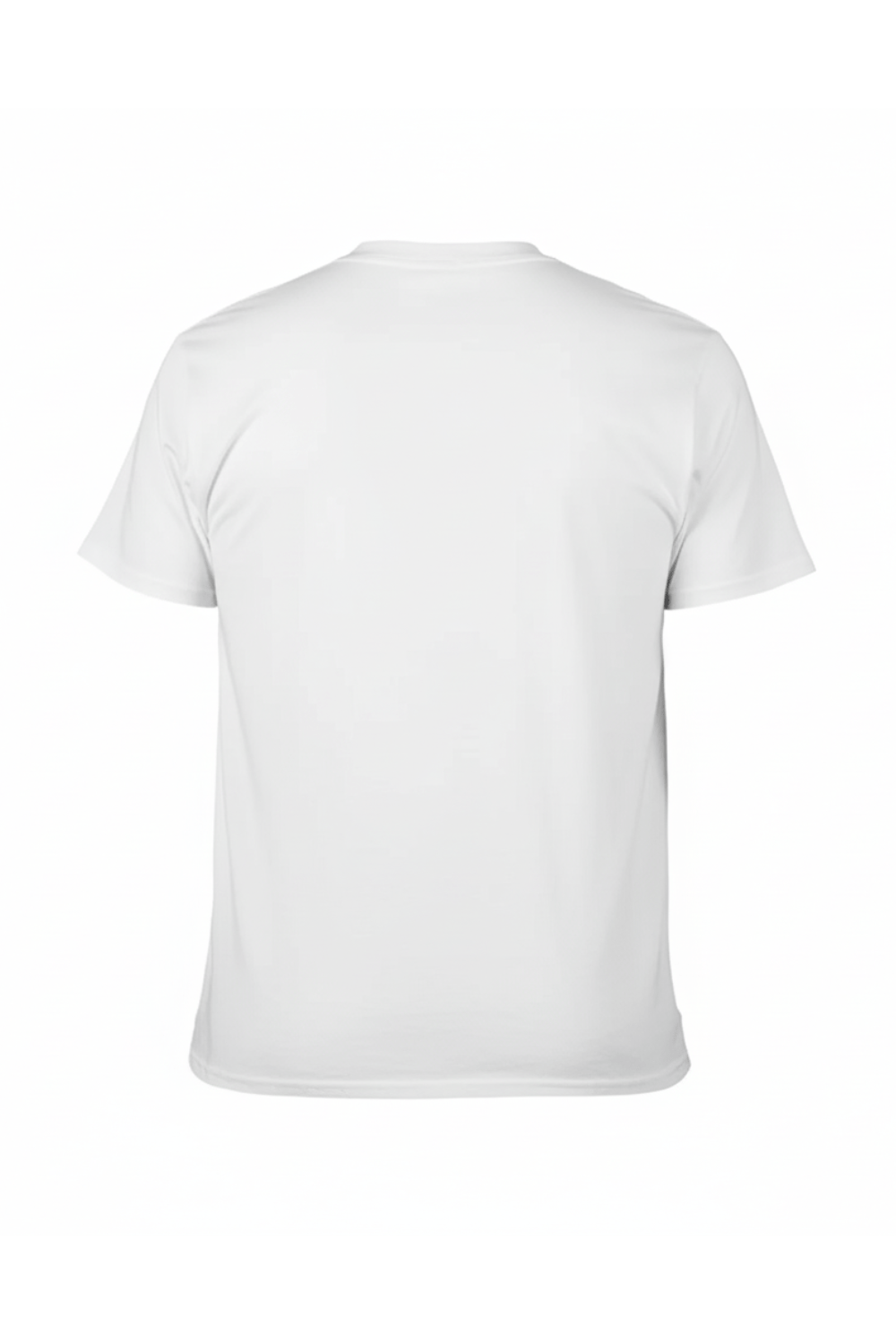 T-Shirt Drapeau du Japon